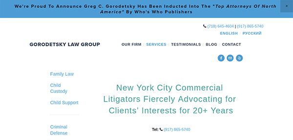Gorodetsky Law Group
